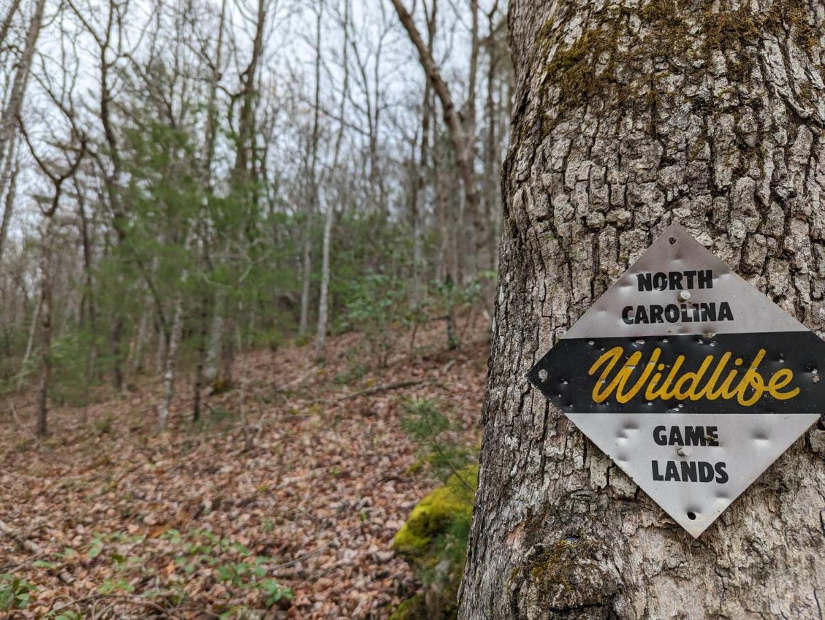 Hidden Hollow Bed And Breakfast Otto Esterno foto
