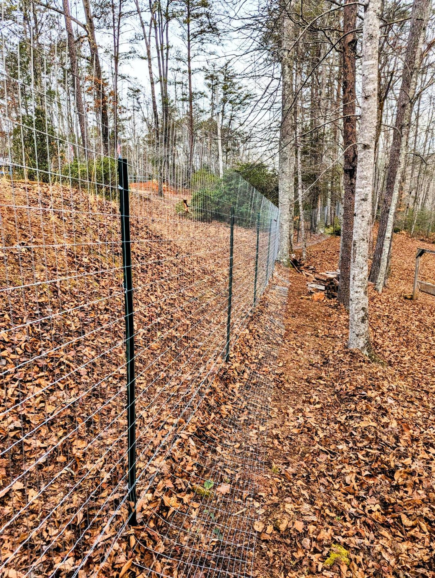 Hidden Hollow Bed And Breakfast Otto Esterno foto